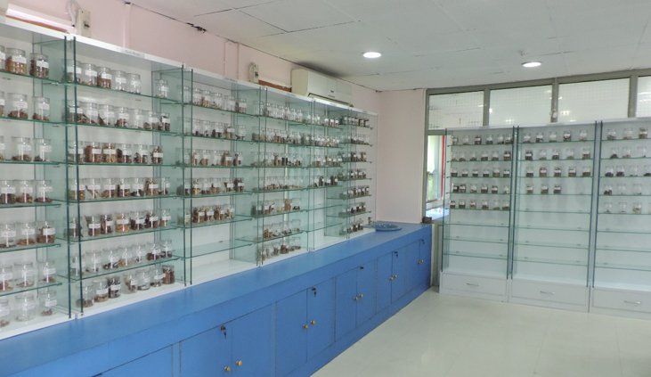 Raw drug repository for medicinal herbs established in CSIR-NBRI